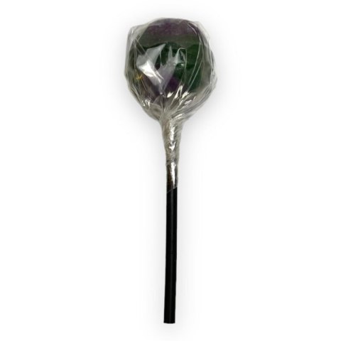 Lizaki Cannabis Blueberry Haze Lizaki Cannabis Blueberry Haze