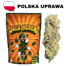 Susz Konopny CBD Jack Herer - CBD