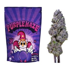 Susz Konopny CBG Purple Haze - CBG
