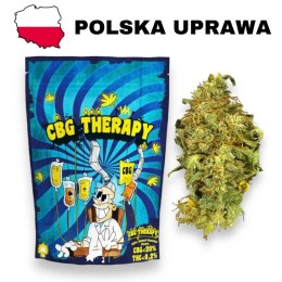 Susz Konopny CBG Therapy - CBG