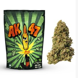 Susz konopny CBD AK-47 - CBD