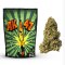 Susz konopny CBD AK-47 - CBD